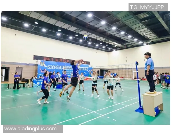 杭州排球队状态分析：备战新赛季的挑战与机遇