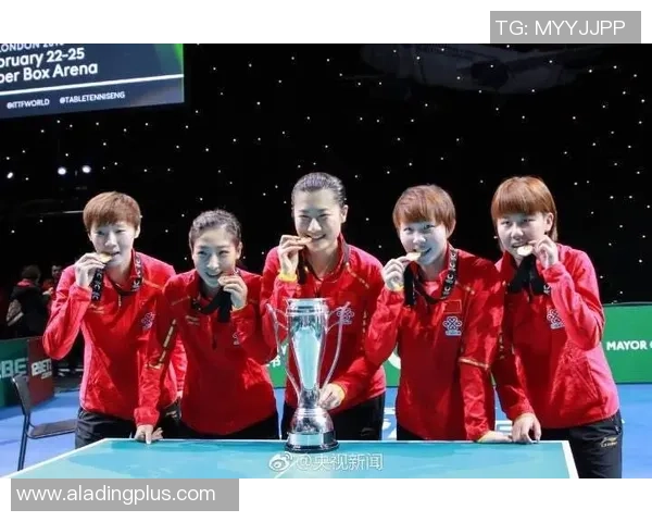 南京排球队的崛起与发展探秘展现团队力量与拼搏精神