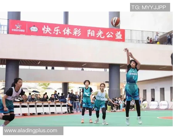 广州篮球队现状深度解析：从训练到比赛的全景揭秘