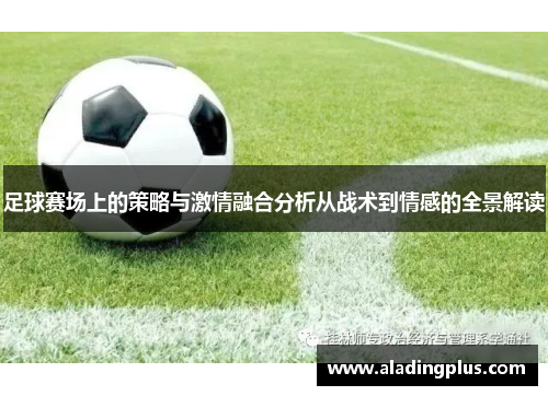 足球赛场上的策略与激情融合分析从战术到情感的全景解读