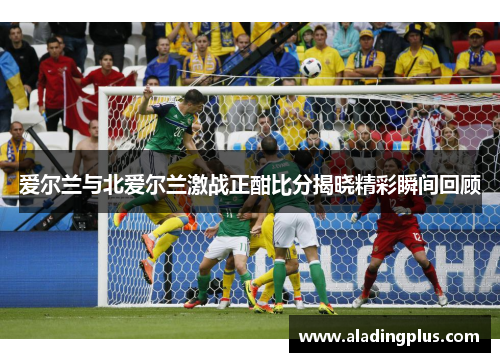 爱尔兰与北爱尔兰激战正酣比分揭晓精彩瞬间回顾