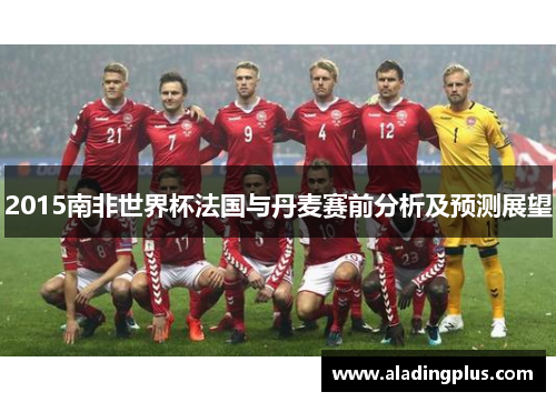 2015南非世界杯法国与丹麦赛前分析及预测展望